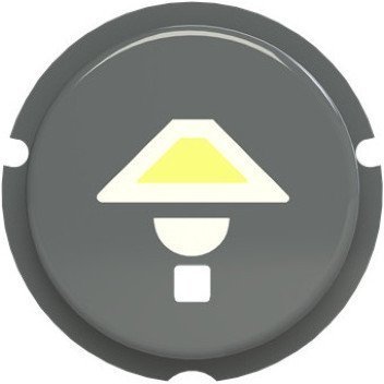 SBL-N2GR Кнопка освещение free@home, Zenit, серый, 2CLA202610N1402 в Калининграде